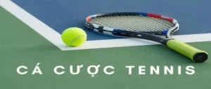 Khám Phá Thế Giới Quần Vợt K9WIN Cho Người Hâm Mộ